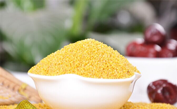 影響菜粕期貨價(jià)格因素有哪些
