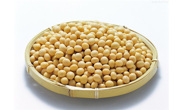 黃大豆2號期貨手續(xù)費(fèi)