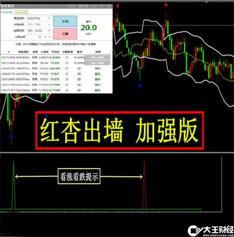 紅杏出墻超強版外匯MT4技術(shù)指標(biāo)黃金原油分析模板