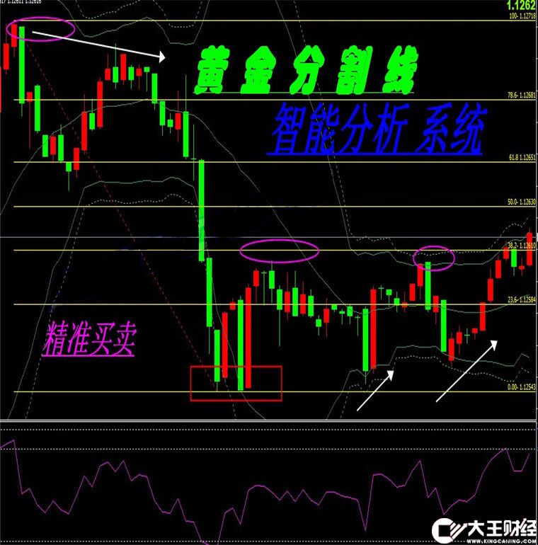 黃金分割線壓力支撐外匯MT4技術(shù)恒指標(biāo)原油分析模板