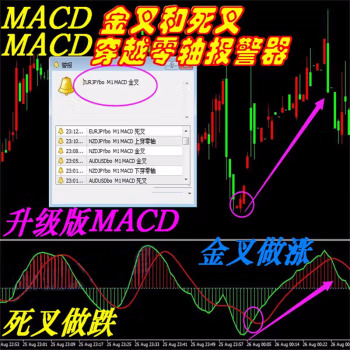 MACD(金叉死叉零軸警報)外匯MT4技術(shù)指標(biāo)黃金原油分析模板