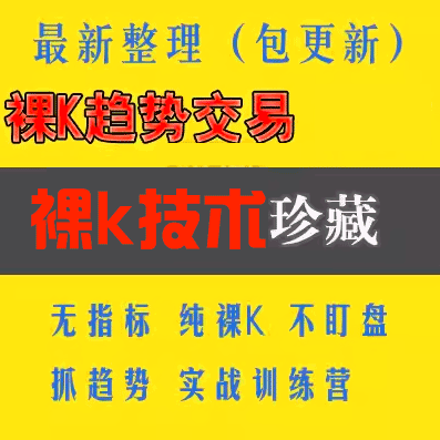 炒外匯視頻教程裸k趨勢(shì)交易系統(tǒng)日內(nèi)短線交易技術(shù)分析實(shí)戰(zhàn)訓(xùn)練